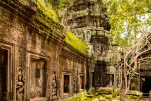 Sightseeing-Tour in den Angkor Tempelanlagen in Kambodscha