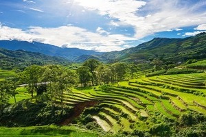 Die besten Highlights Vietnam mit Sapa und Badeurlaub in Mui Ne/Phan Thiet
